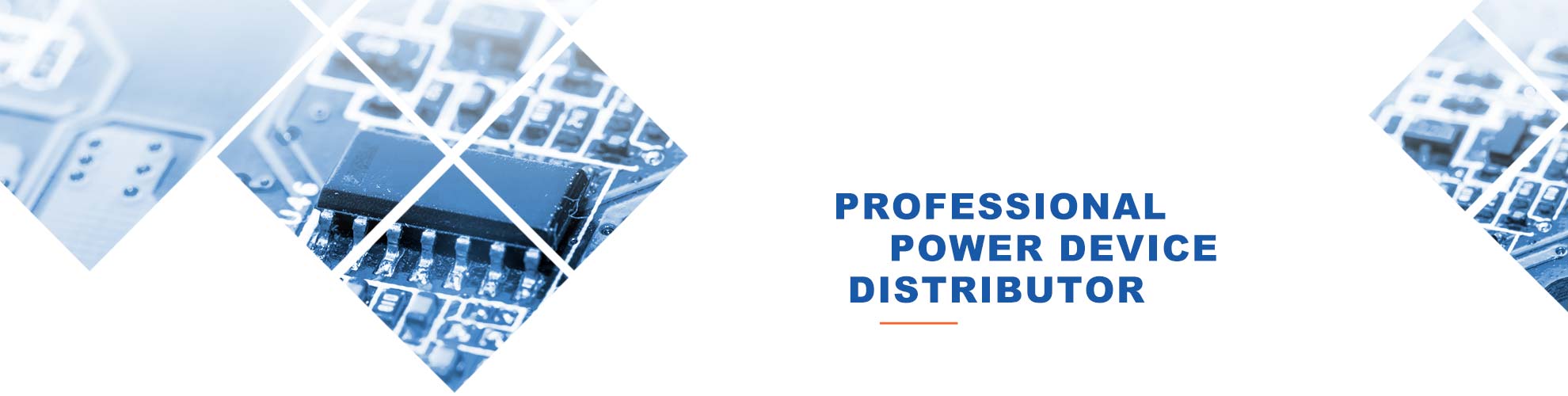 PROFESSIONAL      POWER DEVICE   DISTRIBUTOR